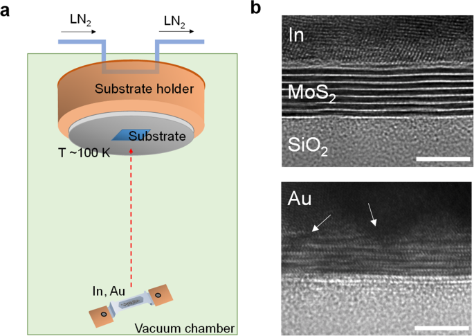 Origins Of Genuine Ohmic Van Der Waals Contact Between Indium And Mos 2 Npj 2d Materials And Applications