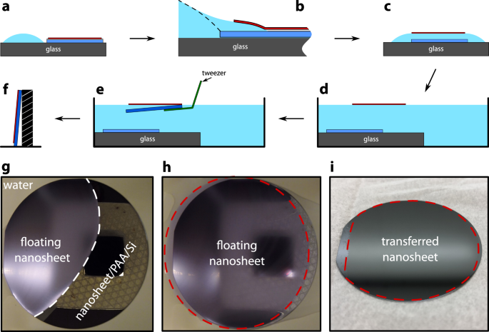 Wafer scale synthesis of organic semiconductor nanosheets for van der waals heterojunction devices