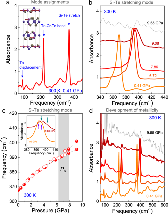 Insulator–metal transition in CrSiTe3 triggered by structural distortion under pressure