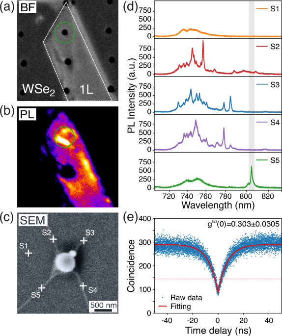 Tailoring polarization in WSe2 quantum emitters through deterministic