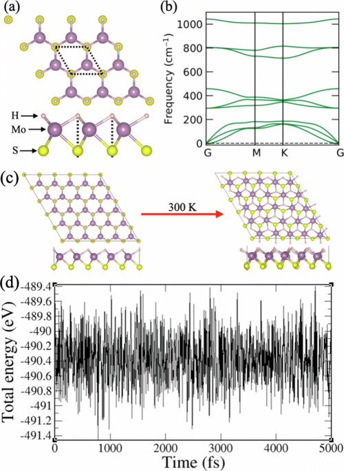 Enhancing Water Splitting Efficiency with 2D Janus MoSH Monolayer