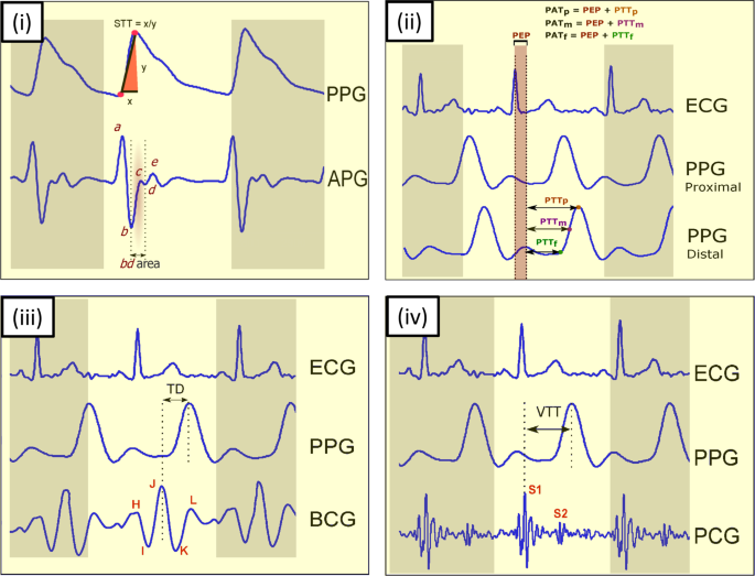 https://media.springernature.com/m685/springer-static/image/art%3A10.1038%2Fs41746-019-0136-7/MediaObjects/41746_2019_136_Fig1_HTML.png