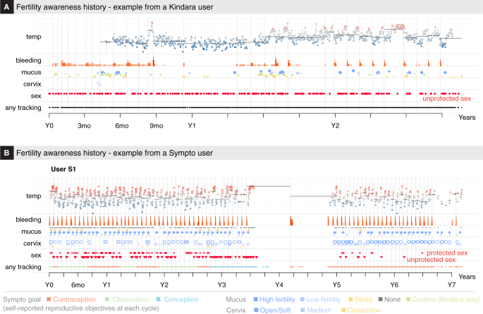 36 Day Menstrual Cycle Chart