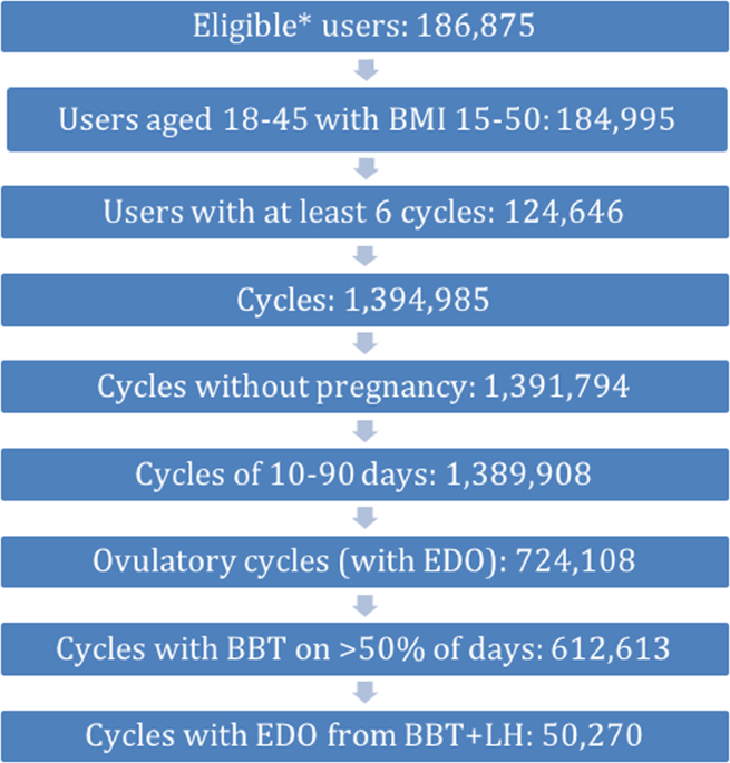 Menstrual bleeding, cycle length, and follicular and luteal phase