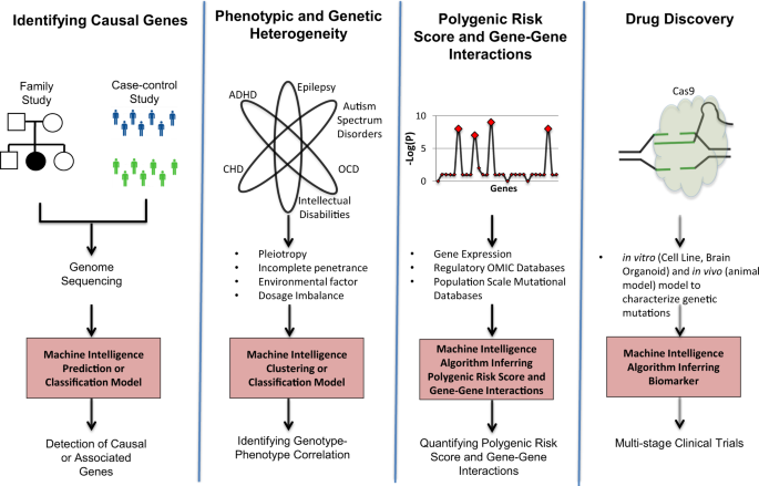 Frontiers  Ethical layering in AI-driven polygenic risk scores—New  complexities, new challenges