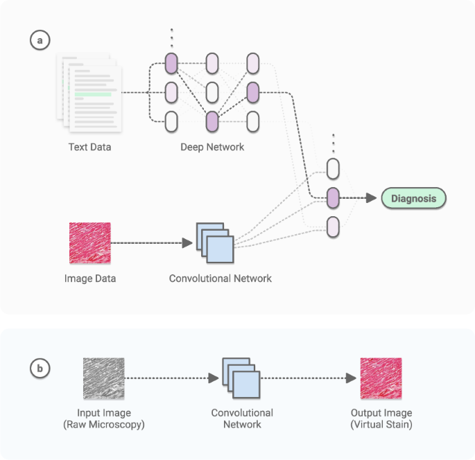 Neural signal software receives CE mark as Class I medical device