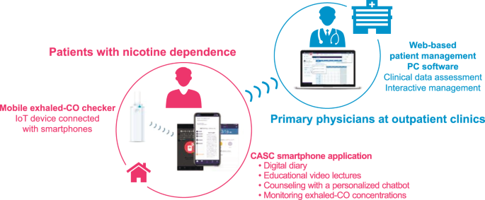 A randomized controlled trial of a smoking cessation smartphone application  with a carbon monoxide checker