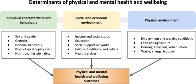 Sex and gender differences and biases in artificial intelligence for biomedicine and healthcare npj Digital Medicine pic