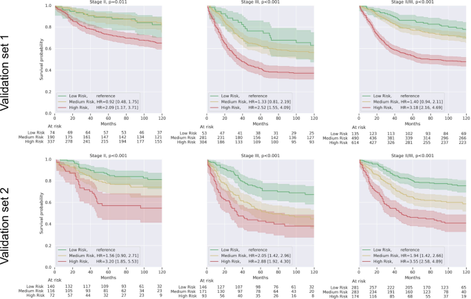 Interpretable survival prediction for colorectal cancer using deep learning