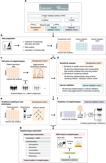 Clinical subphenotypes in COVI...