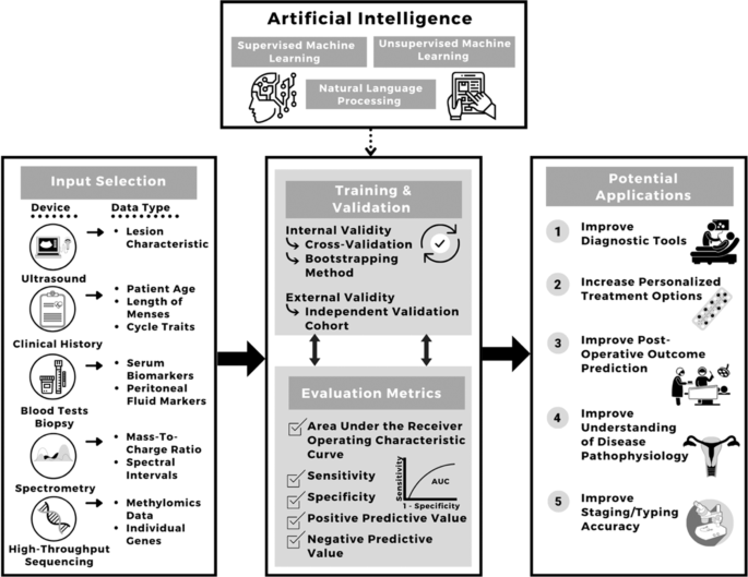 Clinical use of artificial intelligence in endometriosis: a scoping review
