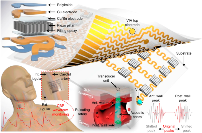 Emerging sensing and modeling technologies for wearable and cuffless blood  pressure monitoring