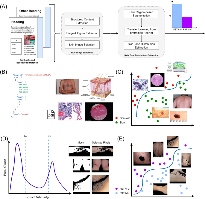 Skin Tone Analysis for Representation in Educational Materials