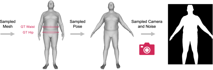 Development and validation of an accurate smartphone application for  measuring waist-to-hip circumference ratio