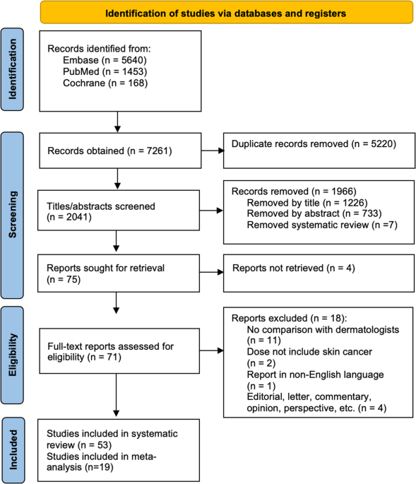 A scientific overview and meta-analysis of synthetic intelligence versus clinicians for pores and skin most cancers analysis