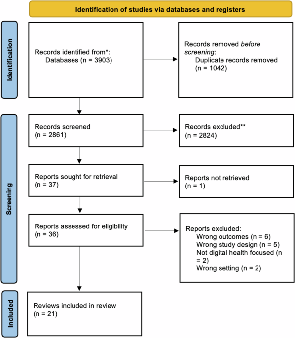 An umbrella review on how digital health intervention co-design is conducted and described