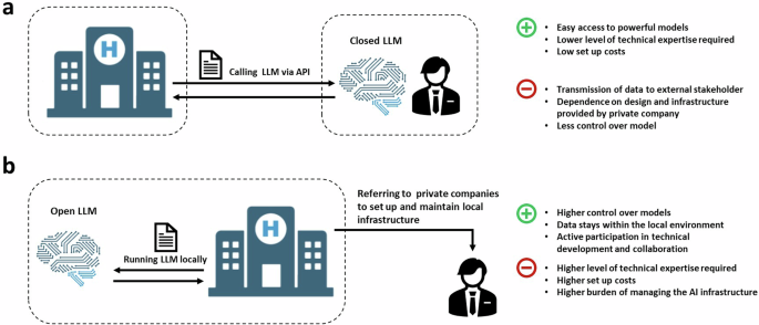 Implementing large language models in healthcare while balancing ...