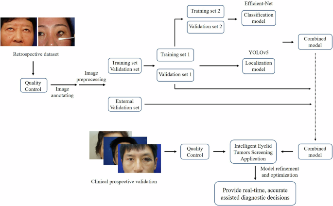 Deep learning-based mobile application for efficient eyelid tumor recognition in clinical images Deep learning-based mobile application for efficient eyelid tumor recognition in clinical images