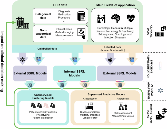 A scoping review of self-supervised representation ...