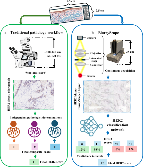 BlurryScope enables compact, cost-effective scanning microscopy for HER2 scoring using deep learning on blurry images
