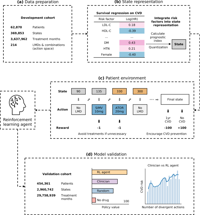 Optimizing long term disease prevention with reinforcement learning: a framework for precision lipid control