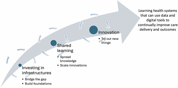 Large-scale system-level digitalisation initiatives in the National Health Service in England: insights from three national evaluations