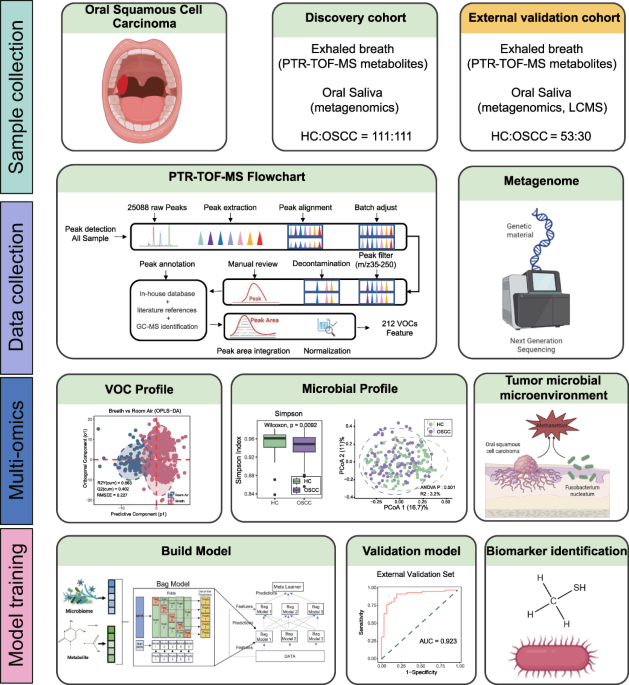 Rapid and noninvasive artificial intelligence-assisted diagnostic method for oral squamous cell carcinoma
