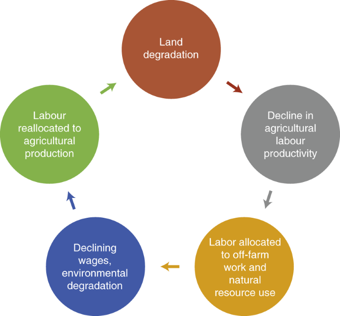 Land degradation and poverty | Nature Sustainability