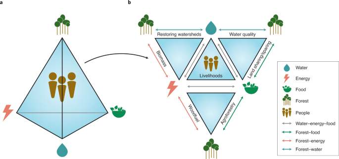 The water-energy-food nexus: What the Brazilian research has to