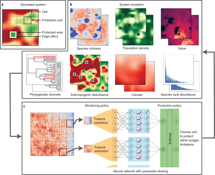 PDF) A functional vulnerability framework for biodiversity conservation