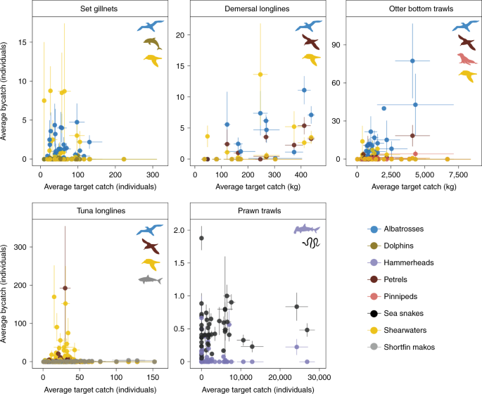 Bycatch rates in fisheries largely driven by variation in