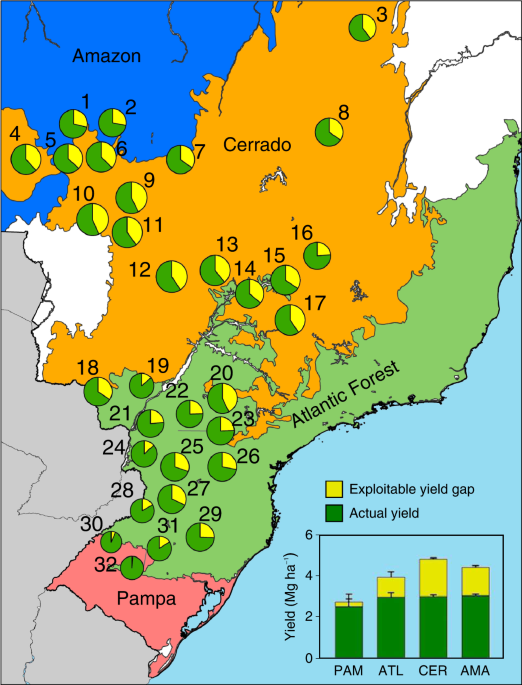 A soil productivity system reveals most Brazilian agricultural lands are below their maximum potential