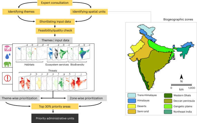 Relative amount of functional habitat and three services by planning