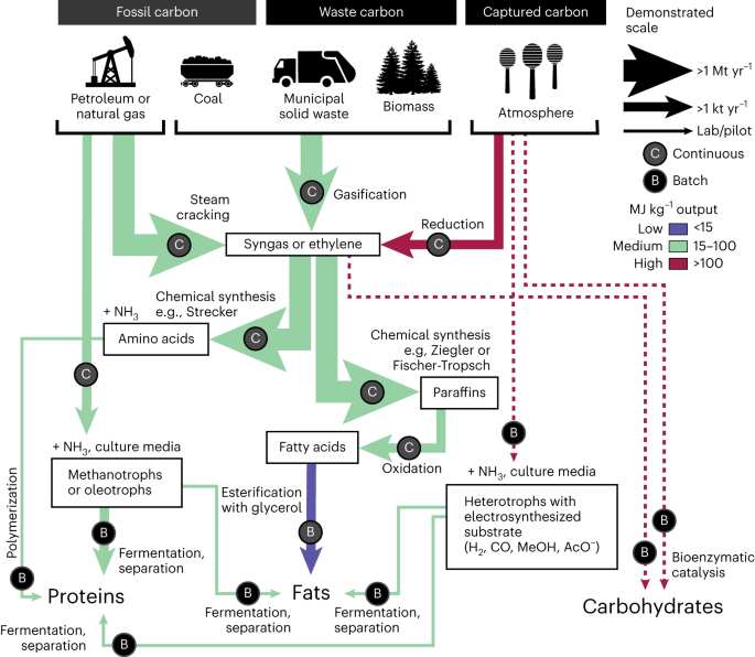 World-first artificial synthesis of starch from CO2 outperforms nature