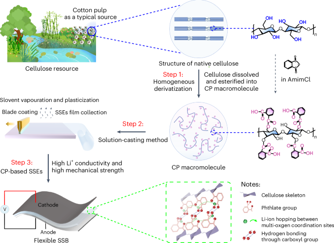Molecular engineering of renewable cellulose biopolymers for solid ...
