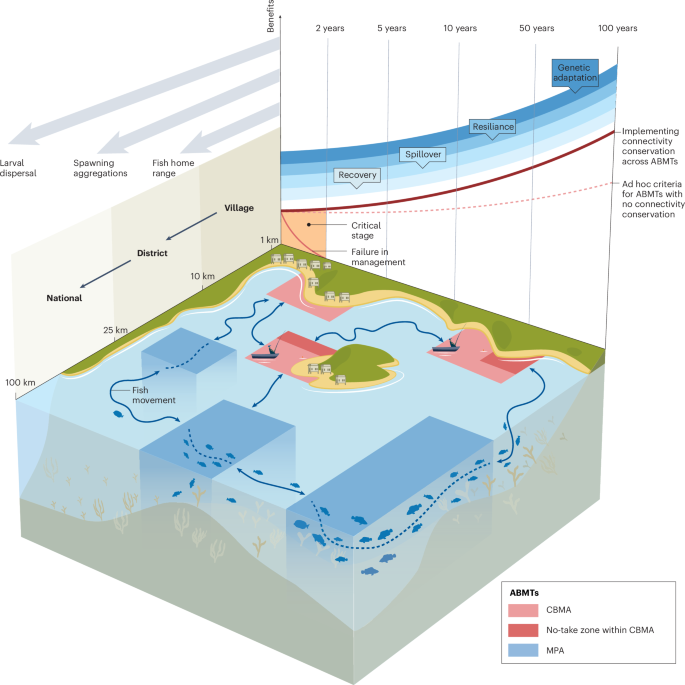 Mainstreaming connectivity science in community-based fisheries ...