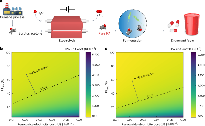 Electrochemical Innovations for Sustainable Chemical Manufacturing