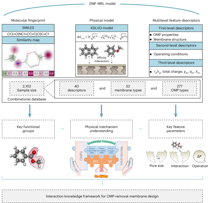 A smart framework to design membranes for organic micropollutants removal