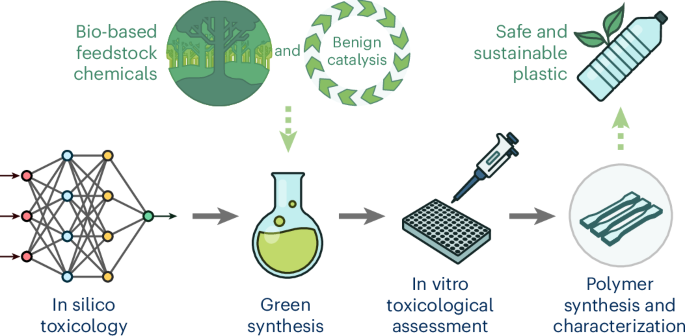 Safe-and-sustainable-by-design approach to polyesters from non-oestrogenic bisphenols - Nature Sustainability
