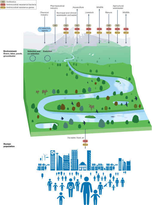 Towards One Health action for addressing antimicrobial resistance in the age of polycrisis