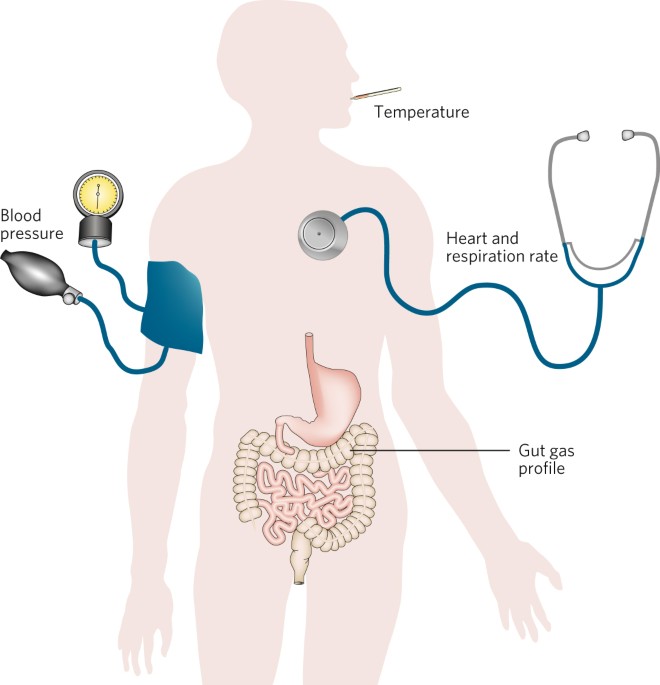 Measurements For A Healthy Gut Nature Electronics