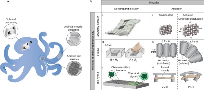 Untethered soft robotics | Nature Electronics