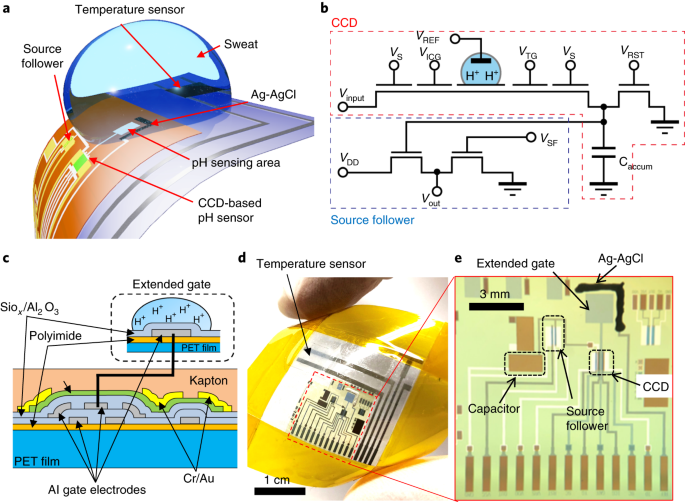 Imperio Inca bruscamente volatilidad A wearable pH sensor with high sensitivity based on a flexible  charge-coupled device | Nature Electronics