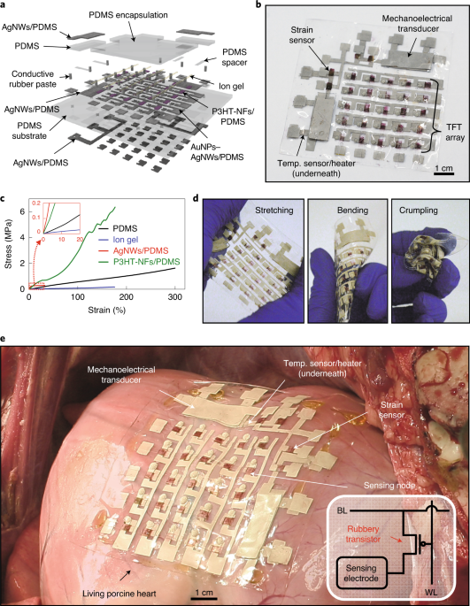 An epicardial bioelectronic patch made from soft rubbery materials and  capable of spatiotemporal mapping of electrophysiological activity