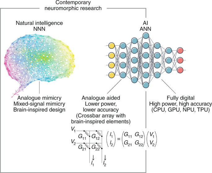 Neuromorphic electronics based on copying and pasting the brain | Nature Electronics