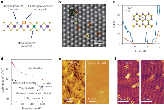 Critical challenges in the development of electronics based on two ...