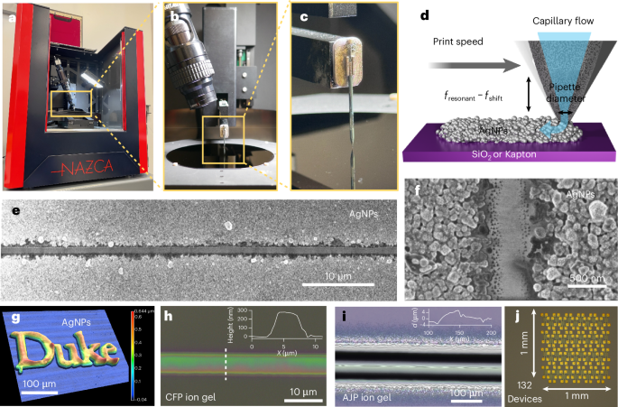Transistor Print Capillary flow printing of submicrometre carbon nanotube transistors ...