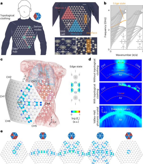 Body sensor networks based on flexible topological clothing