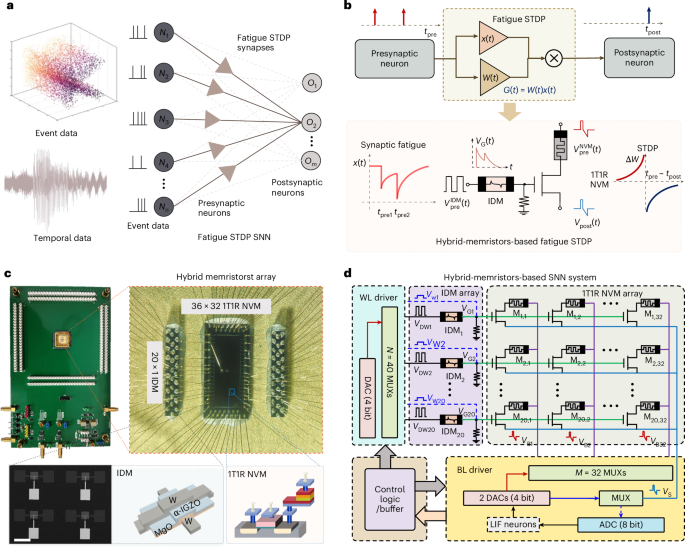 Spiking neural networks with fatigue spike-timing-dependent plasticity learning using hybrid memristor arrays - Nature Electronics
