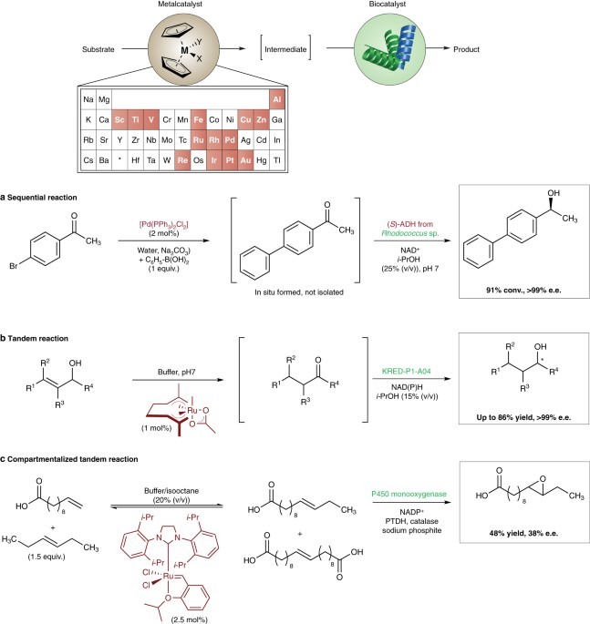 Metalloenzyme-Inspired Ce-MOF Catalyst for Oxidative Halogenation Reactions